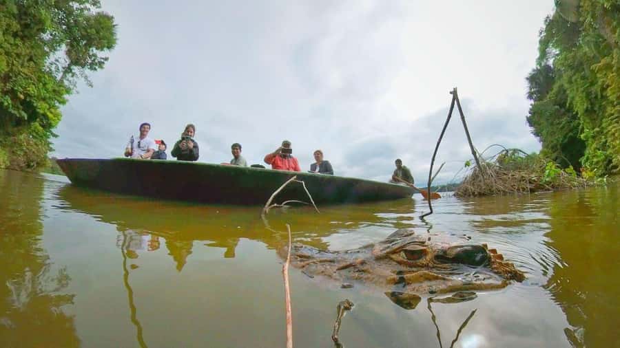 Puerto Maldonado: Lago Sandoval Day Trip with Lunch - From Av. Leon Velarde 138 to the reserve checkpoint port