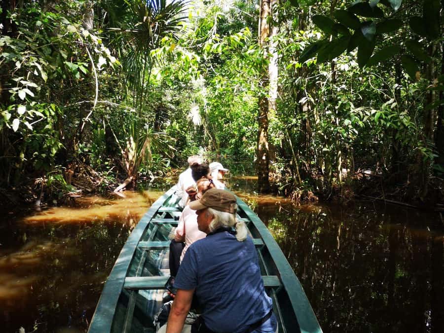 Puerto Maldonado: Lago Sandoval Day Trip with Lunch - Price and value: is $78 a good deal for this kind of day?