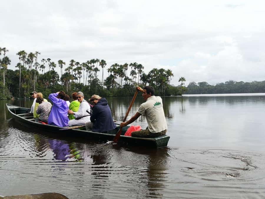 Puerto Maldonado: Lago Sandoval Day Trip with Lunch - Who this Lago Sandoval day trip is best for