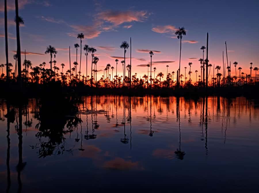 Puerto Maldonado: Lake Yacumama sunset and piranha fishing - The fishing part: gear, piranhas, and good odds