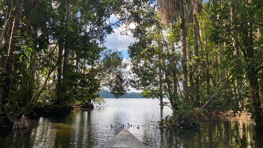 Puerto Maldonado: Sandoval Lake 4-Day, 3-Night Guided Tour - Getting to Puerto Maldonado and Monte Amazonico Lodge