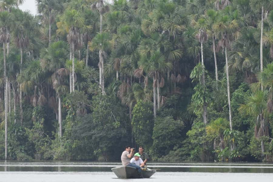 Puerto Maldonado: Sandoval Lake Full-Day Trip with Canoeing - From Puerto Maldonado to the Madre de Dios River, then straight into Tambopata