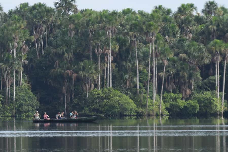Puerto Maldonado: Sandoval Lake Full-Day Trip with Canoeing - Sandoval Lake by canoe: the calm water that makes wildlife feel closer