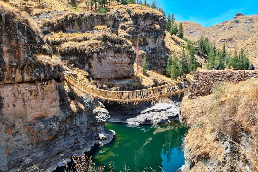 Queswachaka : Tour Inca bridge - Pomacanchi Lagoon: bird watching time where nature is the show