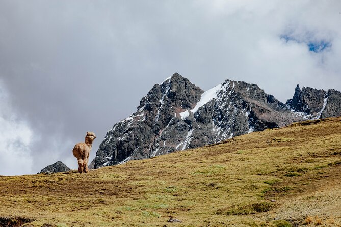 Rainbow Mountain and Red Valley Hike – 2 Days / 1 Night - What You Actually Get Included, and Why It Matters at 4 am