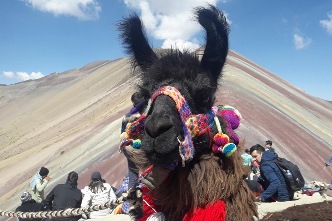 Rainbow Mountain Tour Vinicunca (Full Day) - Altitude Safety That Goes Beyond Posters