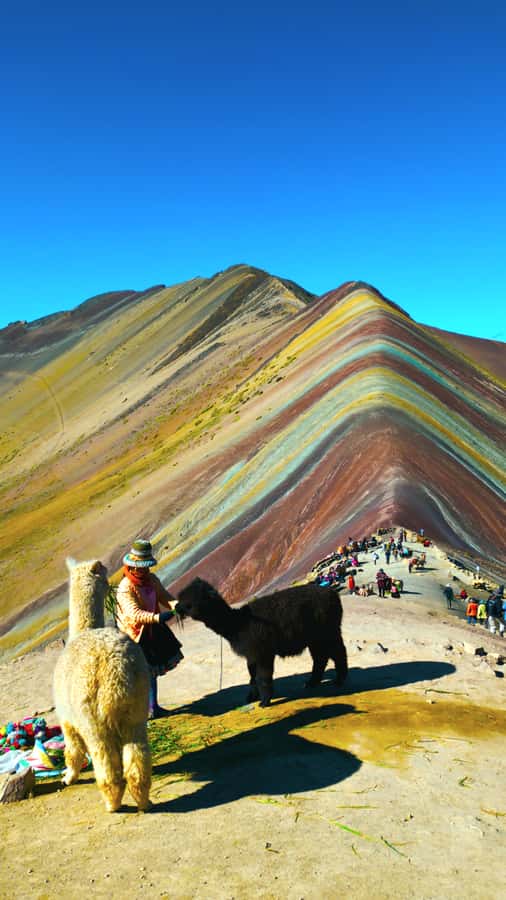 rainbown mountain Vinicunca 1 day - A very early bus ride to Vinicunca