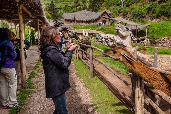 Sacred Valley and Machu Picchu Tour in 2 days with Peru Vip - What the guides and included admissions change for your trip