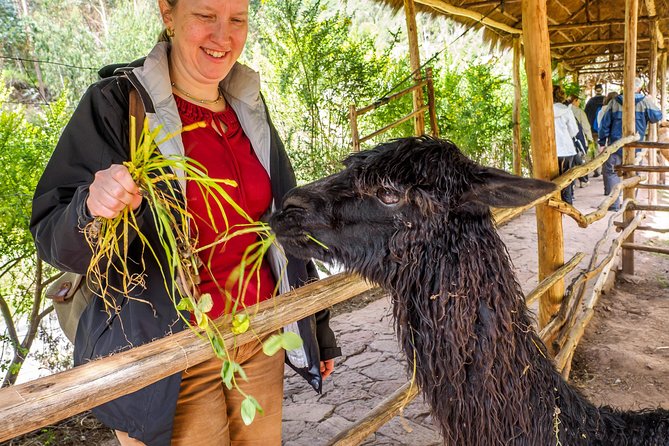 Sacred Valley and Machu Picchu Tour in 2 days with Peru Vip - Value check: is $491.29 a smart deal?