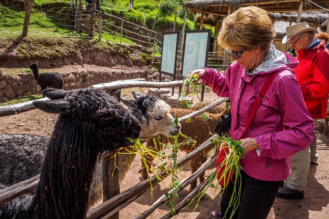 Sacred Valley and Machu Picchu Tour in 2 days with Peru Vip - Should you book Peru Vip for Sacred Valley and Machu Picchu?