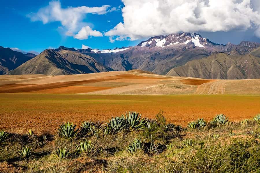 Sacred Valley: Chinchero, Moray, Ollantaytambo & Pisac+Lunch - Urubamba lunch: the buffet that makes the long day worth it
