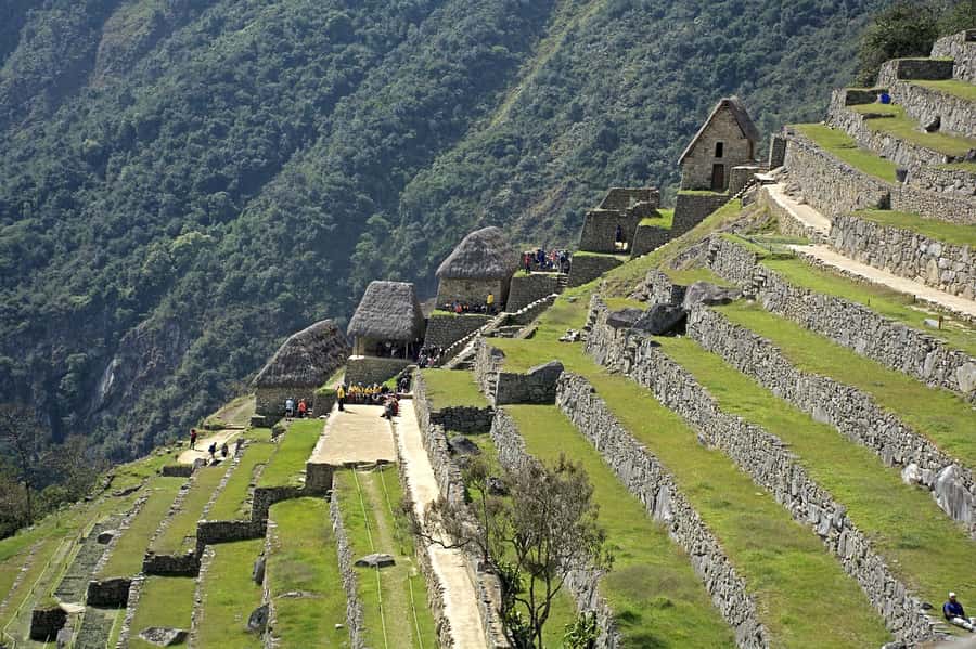 Sacred Valley & Machu Picchu by Train: 2-Day, 1-Night Tour - Group size, language, and comfort level on a big itinerary