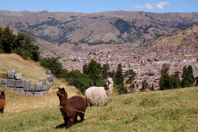 Sacsayhuaman Temple, Tambomachay and Puca Pucara Half-Day Tour - Puca Pucara: red fortress walls and a militarized purpose