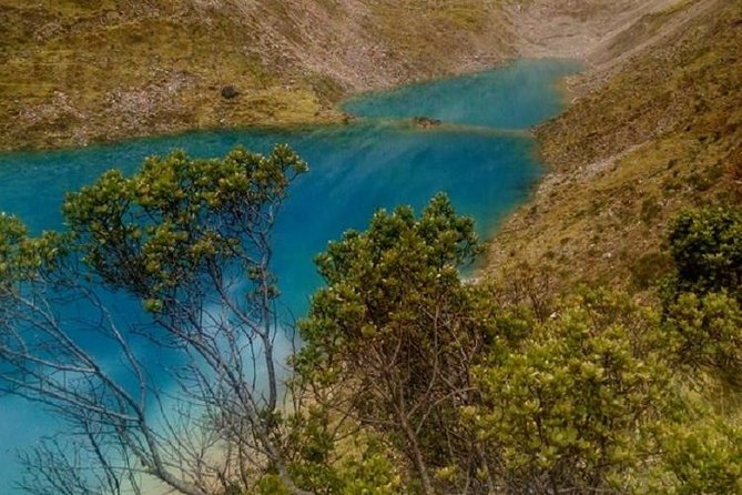Salkantay Trek: 5 Days to Machu Picchu - Day 5: Guided Machu Picchu, time to wander, then train back to Ollantaytambo