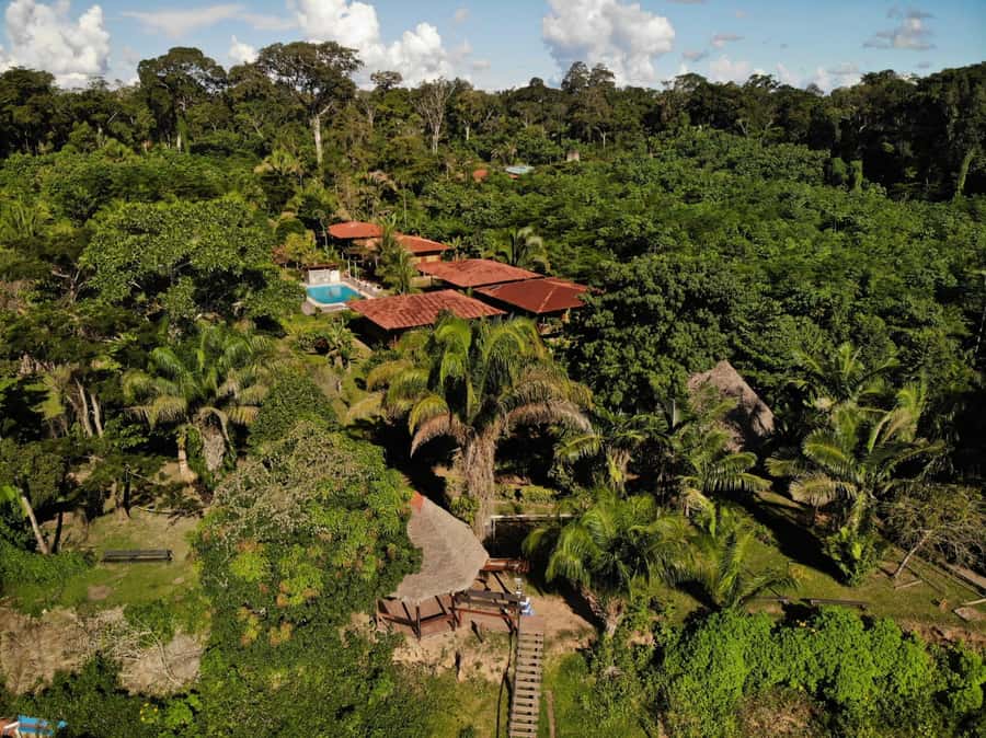 Sandoval lake 3 Days / 2 Nights - Tambopata National Reserve: your best “wildlife odds” come from walking strategy