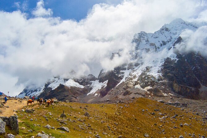 Small Group 5 Days Salkantay and Machu Picchu by Llactapata Tour - Day 5: 5:30 a.m. departure to Machu Picchu, then train back to Cusco