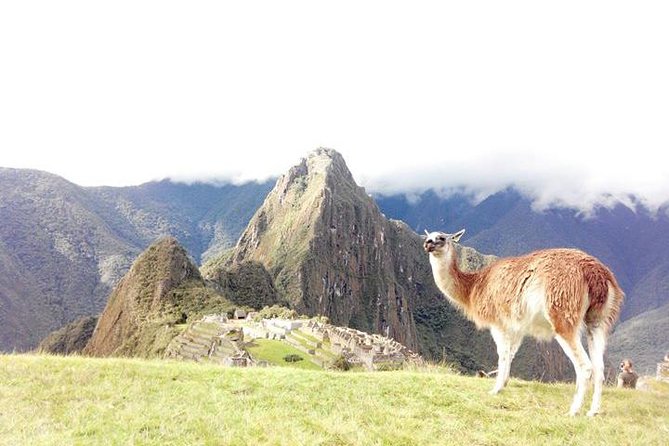 Small-Group Day Tour to Machu Picchu - Getting moving at 5:15 am from Cusco
