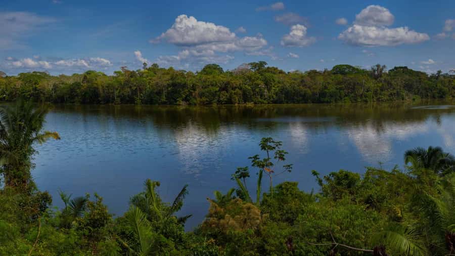 Tambopata: Lake Sandoval Canoeing with Lunch - Lunch at the lake, so you do not lose the rhythm