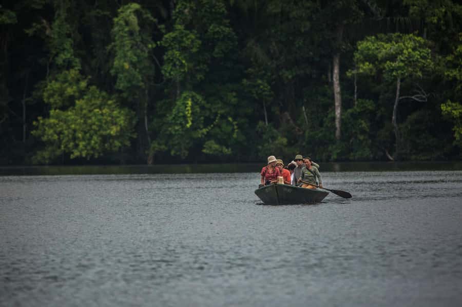 Tambopata Macaw Clay Lick 3 days/2 nights - Who This Tour Suits Best