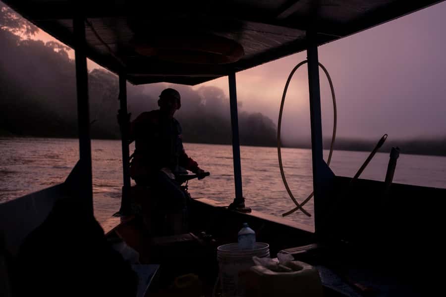 Tambopata Macaw Clay Lick 4 days/3 nights - Day 1: Transfer to Hacienda Tambopata, then an intro rainforest walk