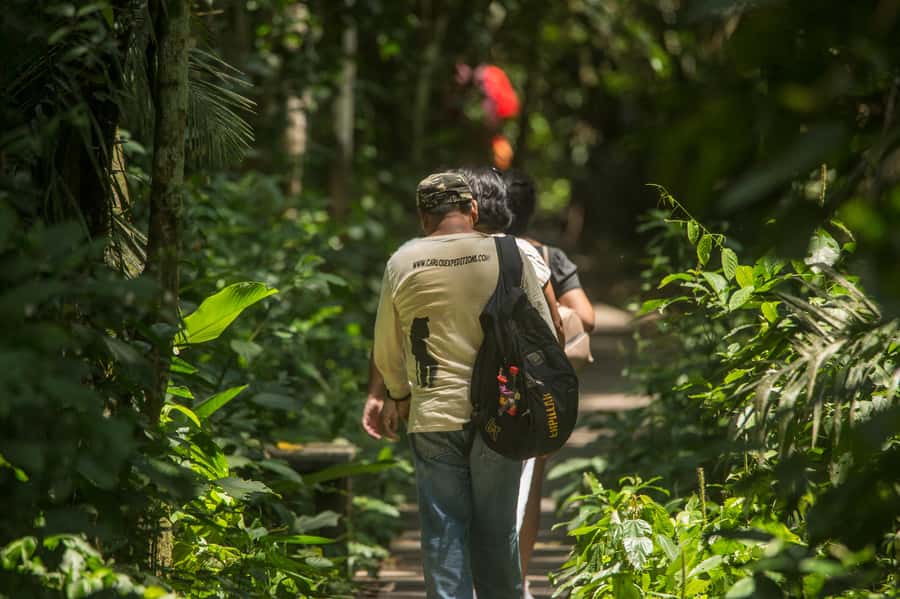 Tambopata Macaw Clay Lick 5 days/4 nights - Day 1: Two hours to the river, boat to Hacienda Tambopata, and a jungle intro