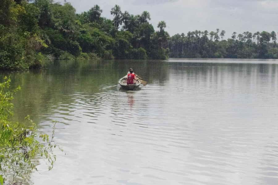 Tambopata: Multi-Day Amazon Rainforest Tour with Local Guide - Day 2: Lake Sandoval Hike for Wildlife, Then Canoe Time on the Lake