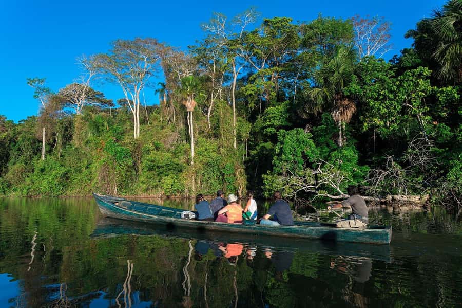 Tambopata National Reserve Tour 3 Days - Day 2: Bird Songs, Sandoval Lake by Rowboat, and a Night Walk for Nocturnal Life