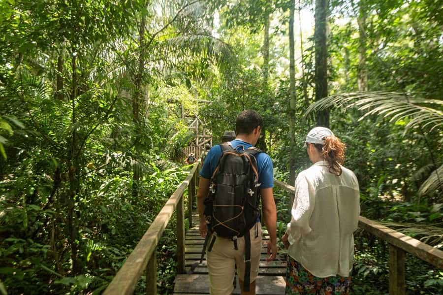 Tambopata National Reserve Tour 3 Days - Accommodation and Food: The One Area to Watch Closely
