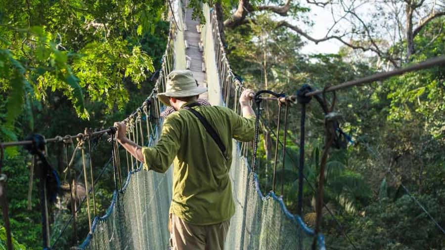 Tambopata: Zipline Adventure & Kayak to Monkey Island - Zipline Sessions: 190 Meter Runs With a Canopy Bridge Connection