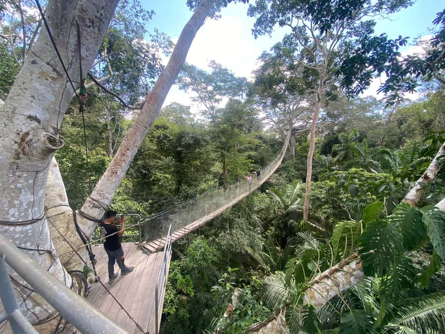 Tambopata: Zipline Adventure & Kayak to Monkey Island - Kayaking to Monkey Island on the Madre de Dios River