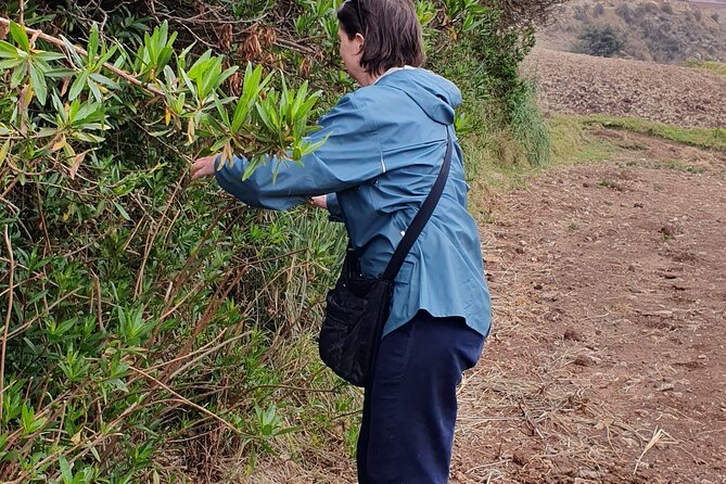 The Textile Workshop Experience in Cusco Region - Who this workshop is best for