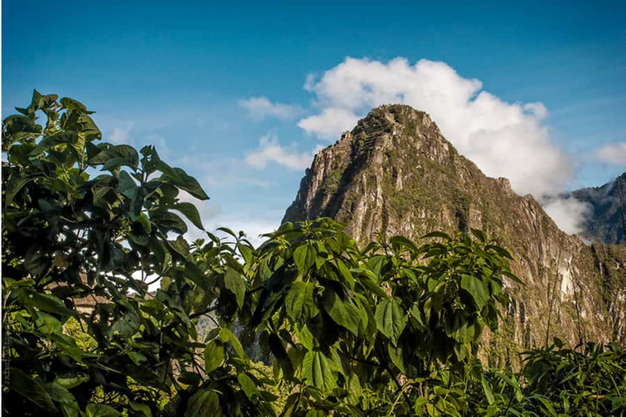 Tour Machu Picchu + Mountain of Huayna Picchu 2 days - Huayna Picchu at 9:00, big views with independent navigation