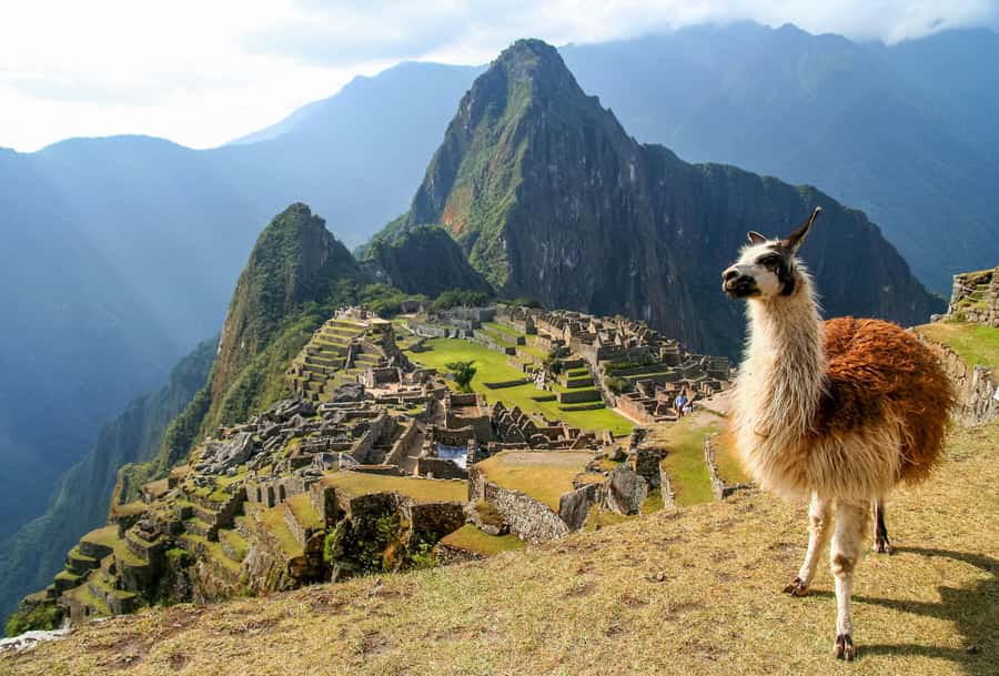 TOUR TO MACHU PICCHU FULL DAY BY TRAIN – The Best Adventure - Ollantaytambo Train: The Ride Toward Aguas Calientes