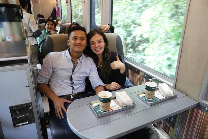 Tour to Machupicchu By Train Full-Day - Price and logistics: is $360 good value for a full-day rail plan?
