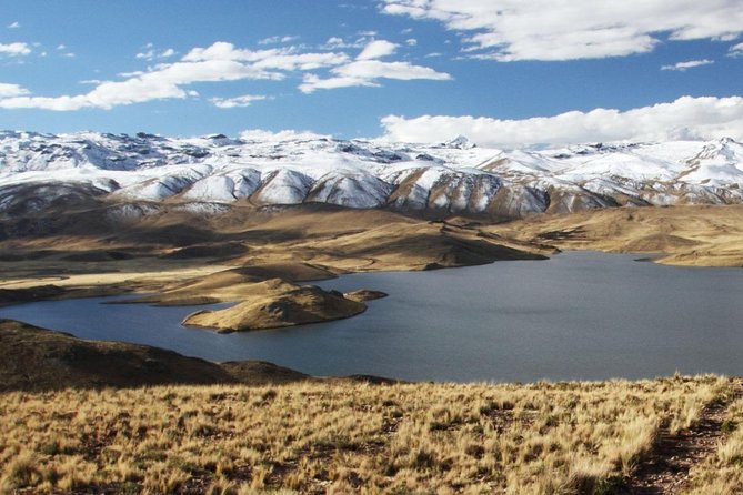Turist Bus Colca Canyon (Chivay) To Puno - Tocrapampa technical stop for camelids in their grazing habitat