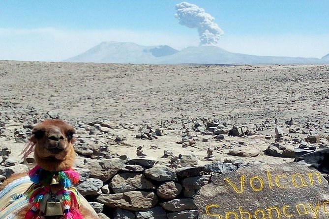 Turist Bus Colca Canyon (Chivay) To Puno - Price and value: $41 for a guided, stop-filled transfer