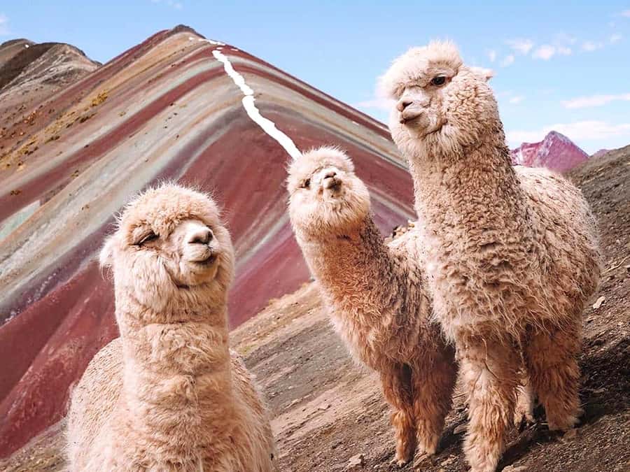 Vinicunca Mountain Tour - Full Day Tour to Rainbow Mountain - What you see besides the main attraction