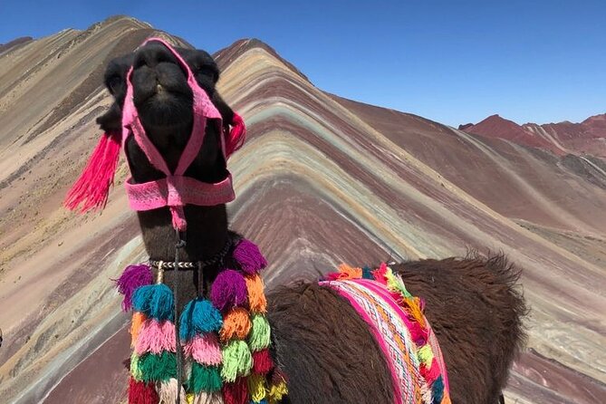 Vinicunca Rainbow Mountain Full-Day Tour from Cusco - Rainbow Mountain from Cusco: why this one-day trip makes sense
