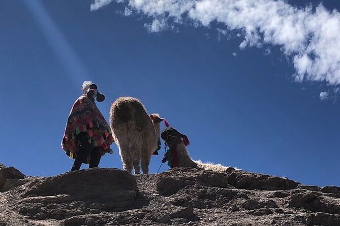 Vinicunca Rainbow Mountain Full-Day Tour from Cusco - Price and value: what $99 really covers