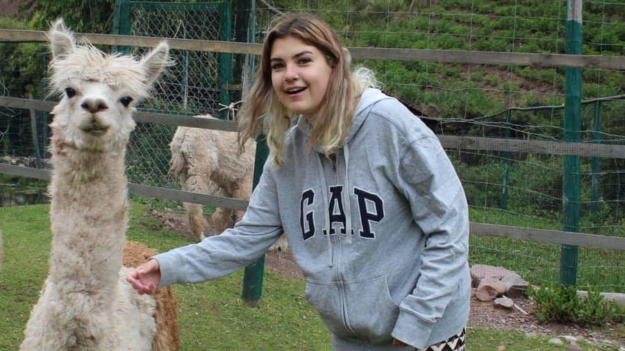 Visit to the Cochahuasi Animal Sanctuary with rescued animal - The Craft Stop at the End: Support Without Losing the Focus